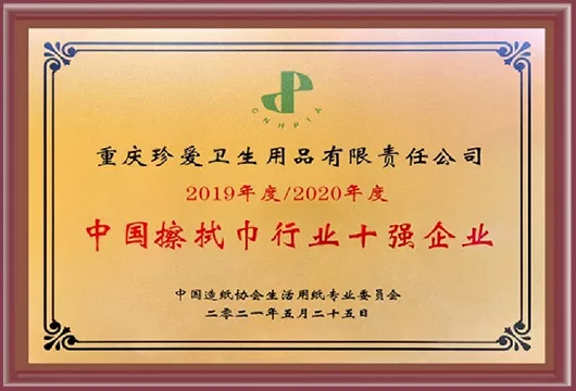 擦拭巾行业十强